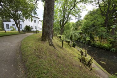 Parkın güzel manzarası