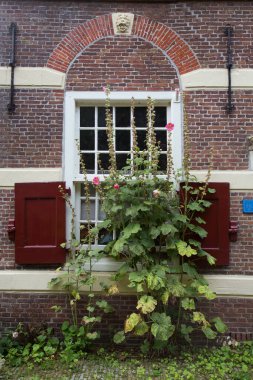 Tarihi bina güneşli gün