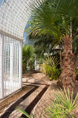 Yazın güzel bahçe manzarası