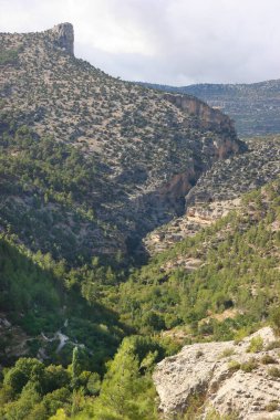 Tipik engebeli dağ yaban hayatı.