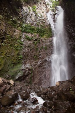 Ormanda güzel bir şelale 