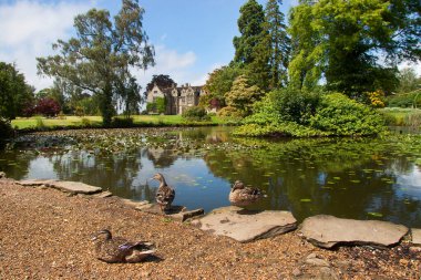 Güzel ortaçağ malikanesinin manzarası