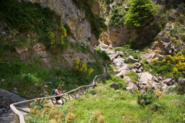 Dağlarda yürüyüş yapan bir kadın.