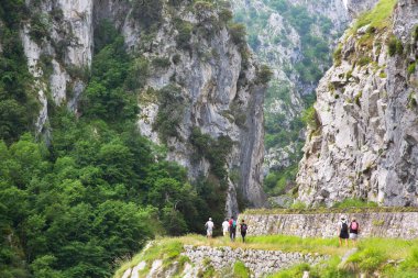 Kuzey İspanya 'da oyulmuş bir yürüyüş yolu ile dar ve sarp bir vadi boyunca iyi bilinen bir yürüyüş rotasındaki dağ yürüyüşçüleri..