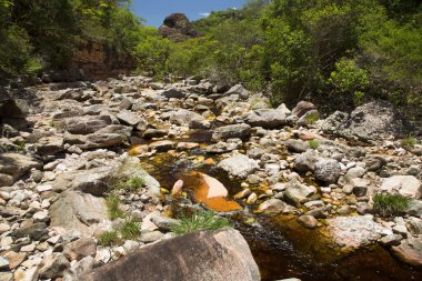Tropikal yeşillik ve kayalık nehir manzarası