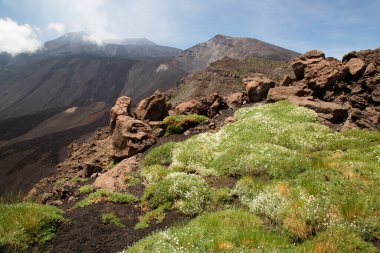 güzel dağlık volkanik manzaranın resimsel görüntüsü