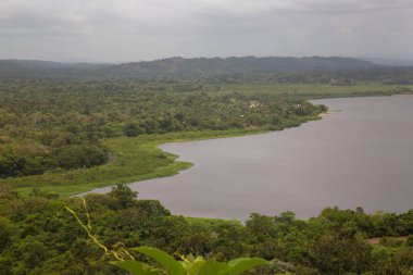 Tropikal yeşillik ve nehir manzarası