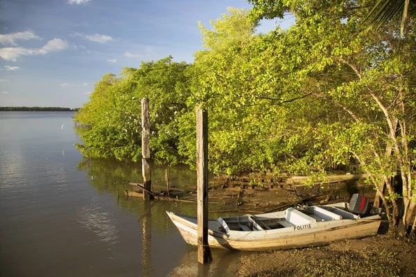 Nehir ve gölü olan güzel bir manzara.
