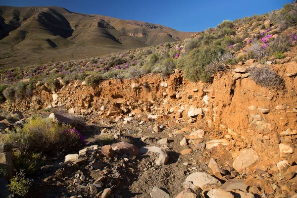 Arkasında dağlar olan güzel çöl manzarası.