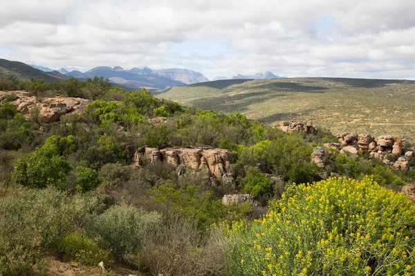 Formação Rochosa Erodida Típica Topo Uma Passagem Montanha Deserto Karoo — Fotografia de Stock