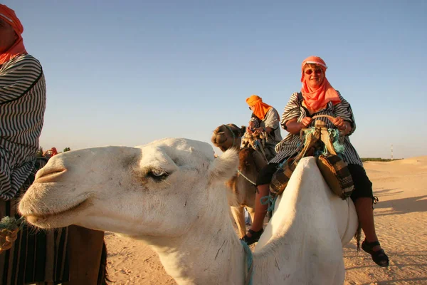 Vista Gente Montando Camellos Desierto — Foto de Stock