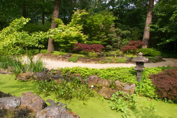 Schöner Garten Sommer — Stockfoto