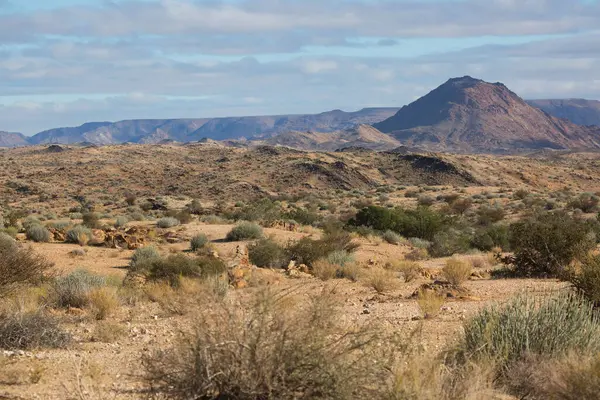 Vadinin güzel manzarası  