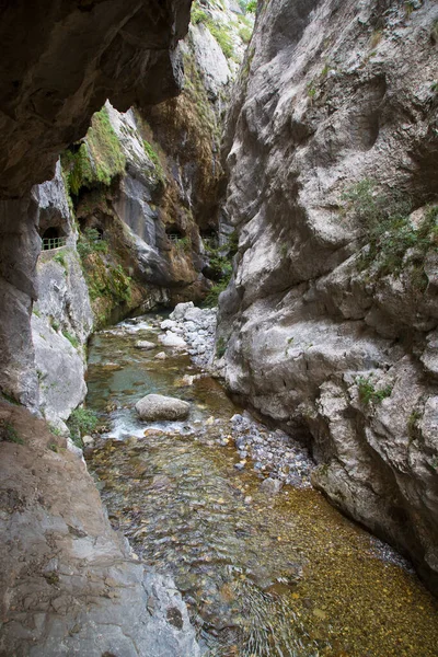 Río Que Fluye Entre Dos Rocas Con Vegetación —  Fotos de Stock