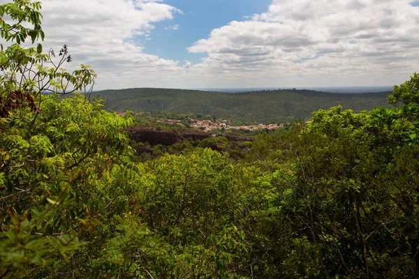 Portekiz 'deki Madeira köyünün tropik yeşilliklerle çevrili görüntüsü