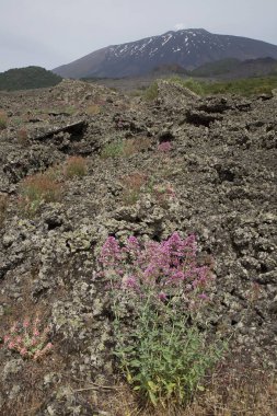 Güzel dağ manzarasında volkanik kayalar