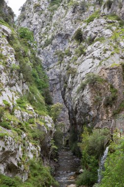 Dağ nehrinin güzel manzarası