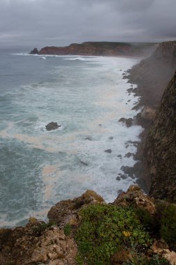Deniz kıyısının güzel manzarası 