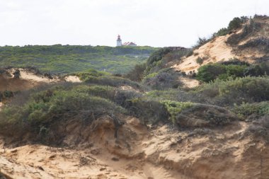 Deniz feneri olan güzel bir manzara.