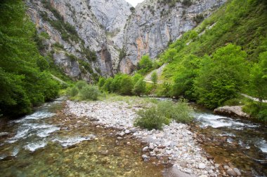 Dağlardan akan nehir