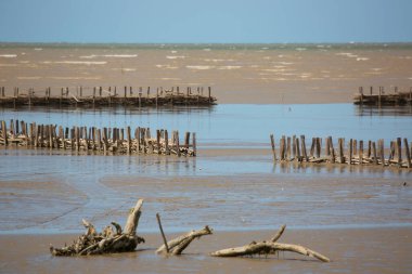 Sahilde ahşap iskelesi olan deniz kıyısında. balıkçı tekneleri