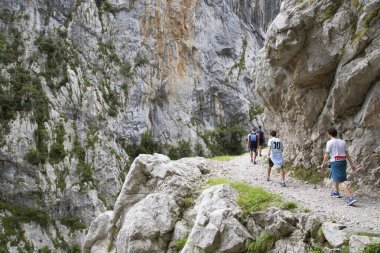 Kuzey İspanya 'da oyulmuş bir yürüyüş yolu ile dar ve sarp bir vadi boyunca iyi bilinen bir yürüyüş rotasındaki dağ yürüyüşçüleri..