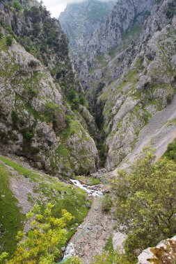 Gaztelugatxe, Bask Bölgesi 'nin Bermeo belediyesine bağlı Biscay kıyısında bir adadır.. 