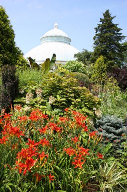 Güzel çiçekler ve bitkilerle dolu park