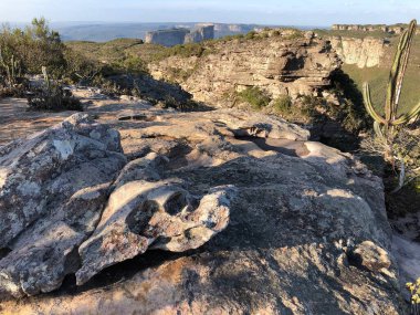 Güneşin yemyeşil olduğu kayalık manzaralı güzel bir manzara.