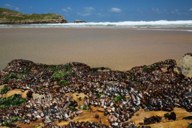 Güzel kıyı şeridi ve okyanus manzarası. 