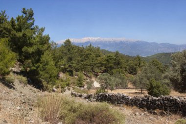 Dağların güzel manzarası