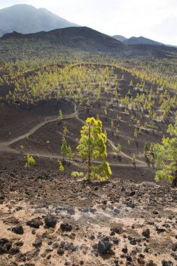 Dağlı güzel doğal manzara