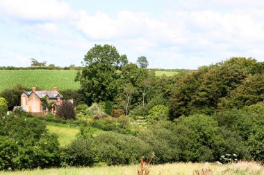 Bahçeli güzel eski bir ev