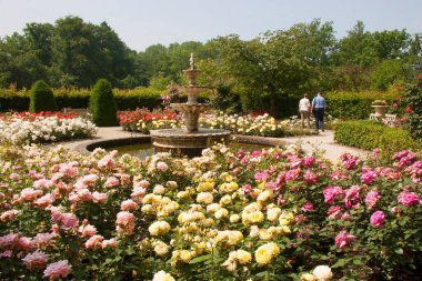 Parkın güzel manzarası