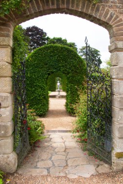 Güzel botanik fotoğrafı, doğal duvar kağıdı.