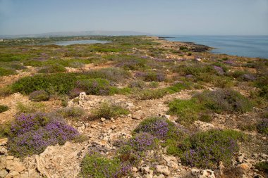 Güzel deniz manzarası