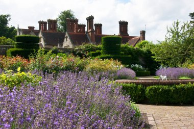 Güzel botanik bahçesi, Jay Robins Gül Bahçesi