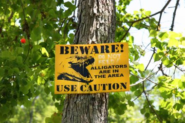 Ağaçta bir uyarı işareti