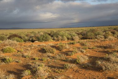 Çöldeki kumulların güzel manzarası