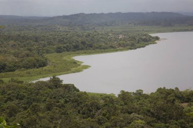 Tropikal yeşillik ve nehir manzarası