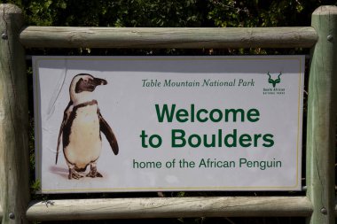 Penguen kuşlu pankartın manzarası 