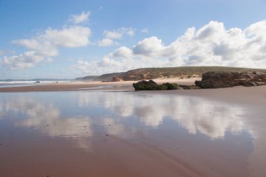 Deniz kıyısının güzel manzarası