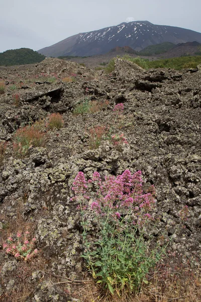 美丽山景中的火山岩 — 图库照片