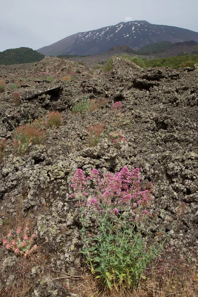 Rocce Vulcaniche Bella Scena Montuosa — Foto Stock