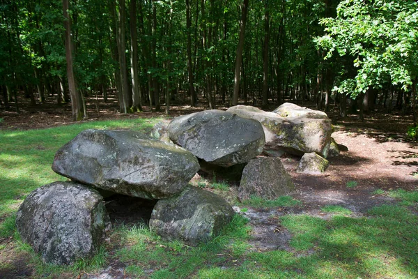 Μεγάλες Πέτρες Στο Καλοκαιρινό Πάρκο — Φωτογραφία Αρχείου