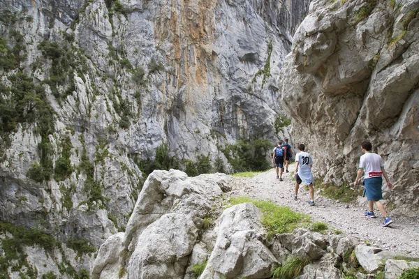Kuzey İspanya 'da oyulmuş bir yürüyüş yolu ile dar ve sarp bir vadi boyunca iyi bilinen bir yürüyüş rotasındaki dağ yürüyüşçüleri..