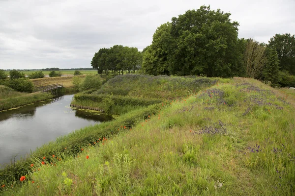 Nehir ve ağaçlarla dolu güzel bir manzara.