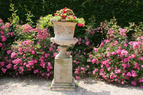 Luxuriante Scène Jardin Vert Avec Des Fleurs Fleurs — Photo