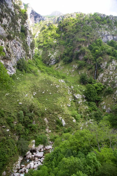 Yeşil ağaçları ve mavi gökyüzü olan dağ manzarası