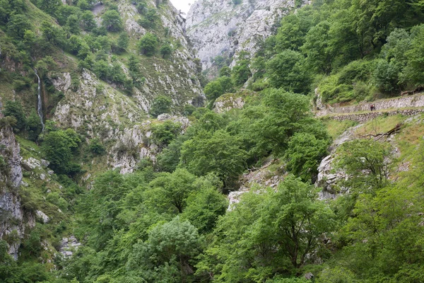 Vacker Utsikt Över Bergen — Stockfoto